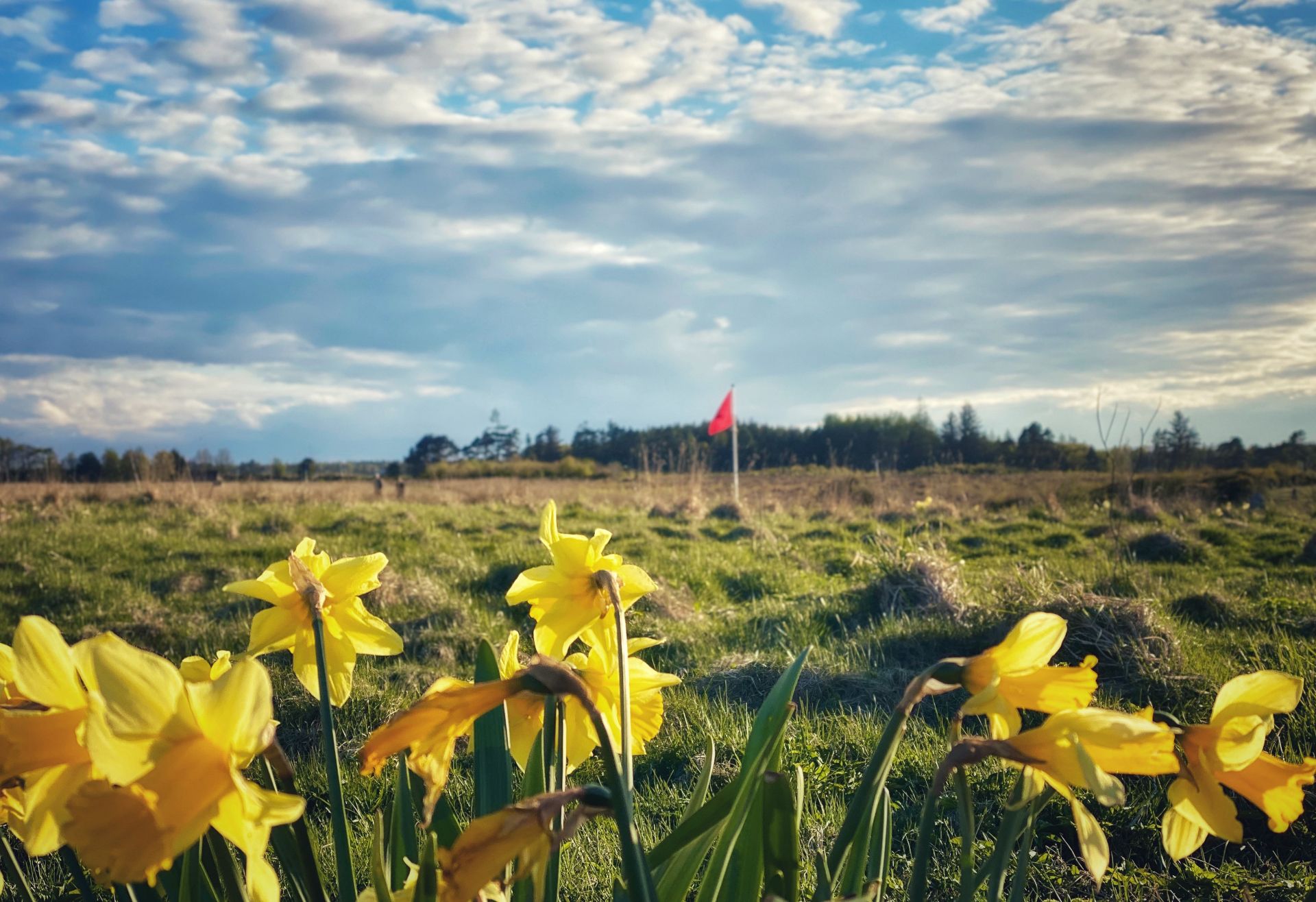 Culloden Battlefield 